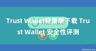 Trust Wallet轻量版下载 Trust Wallet 安全性评测