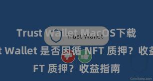 Trust Wallet MacOS下载 Trust Wallet 是否因循 NFT 质押？收益指南