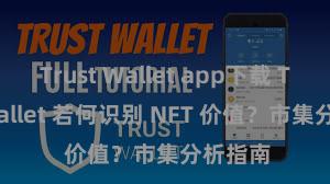 Trust Wallet app下载 Trust Wallet 若何识别 NFT 价值？市集分析指南