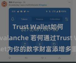 Trust Wallet如何使用Avalanche 若何通过Trust Wallet为你的数字财富添增多重考据安全活动？