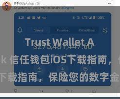 Trust Wallet Android apk 信任钱包iOS下载指南，保险您的数字金钱安全