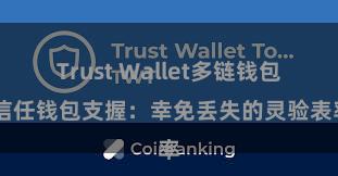 Trust Wallet多链钱包 信任钱包支握：幸免丢失的灵验表率